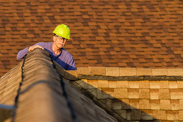 Best Storm Damage Roof Repair  in Belle Isle, FL