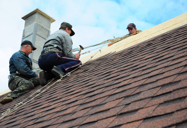 Quick and Trustworthy Emergency Roof Repair Services in Belle Isle, FL